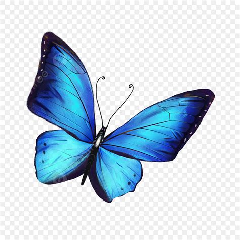 Watercolor Butterfly Clipart Transparent PNG Hd, Colorful Blue ...