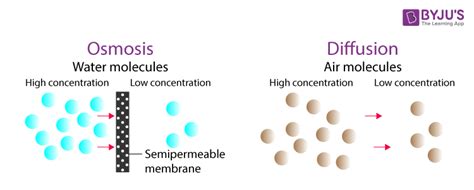 Diffusion & Osmosis - Difference between Diffusion & Osmosis