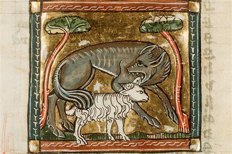 Why was the Medieval Wolf Hunted to Extinction? — Medieval Histories