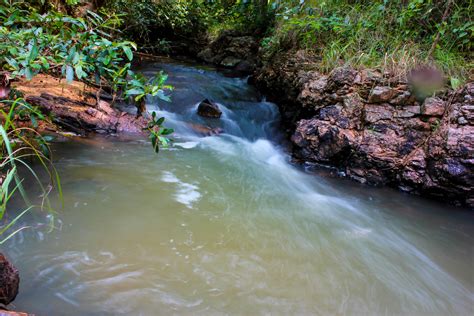 HAZARIBAGH NATIONAL PARK - HAZARIBAGH Photos, Images and Wallpapers, HD ...