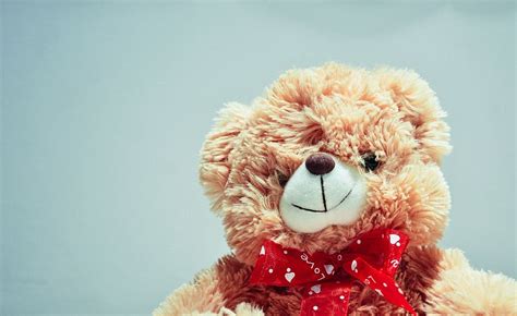 brown, bear, plush, toy, photography, teddy, teddy bear, stuffed animal, toys, children | Pxfuel