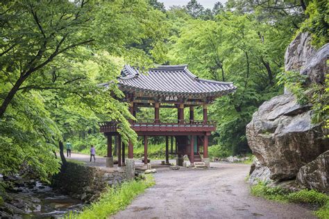 The Top Temples in Busan