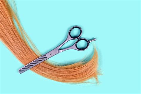 22 Different Types of Scissors and Their Uses (with Pictures) - Homenish