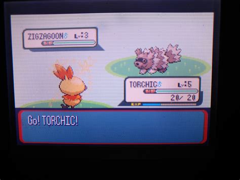 [Gen 3] Found a Shiny Torchic in Ruby after 5 675 SR's about 3 weeks ...