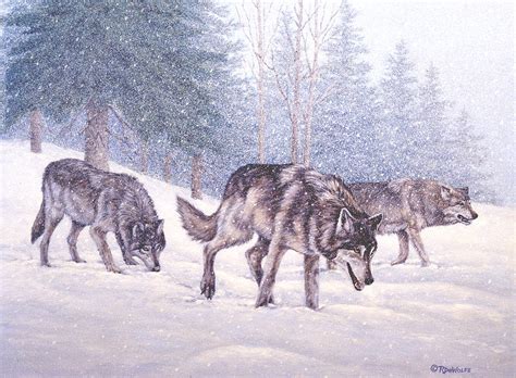 Wolf Pack Painting at PaintingValley.com | Explore collection of Wolf ...