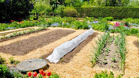 Straw Garden Mulch: The Ultimate Guide | Blue Mountain Hay