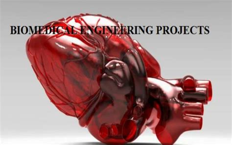 Innovative Latest Biomedical Projects for Final Year Students.