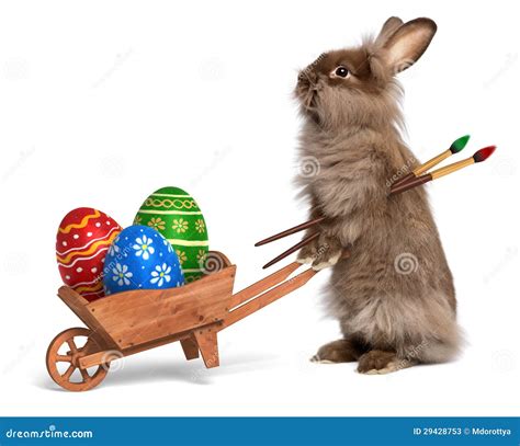 Funny Easter Bunny Rabbit With A Wheelbarrow And Some Easter Egg Stock Photos - Image: 29428753