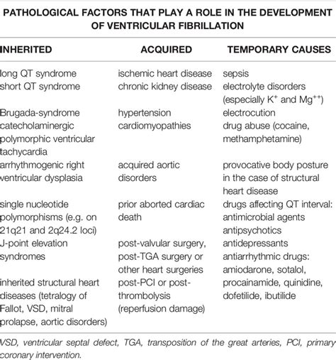 Frontiers | Handling of Ventricular Fibrillation in the Emergency Setting