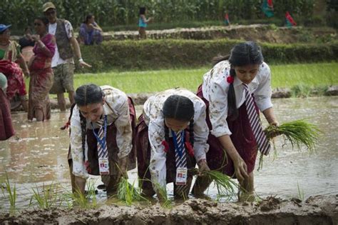 Importance of Agriculture in Nepal - Wonders of Nepal