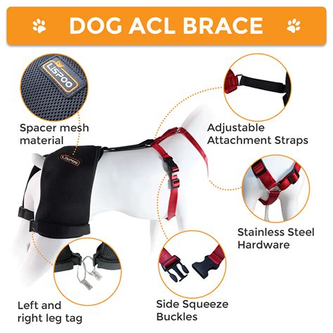 Best Dog Hip Dysplasia Support Brace For Sale | LOVEPLUSPET