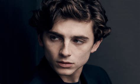 Timothée Chalamet has started guitar lessons for role in Bob Dylan biopic