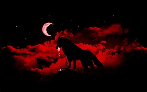 Cool Red And Black Wolf, 1440X900 Wolf HD wallpaper | Pxfuel