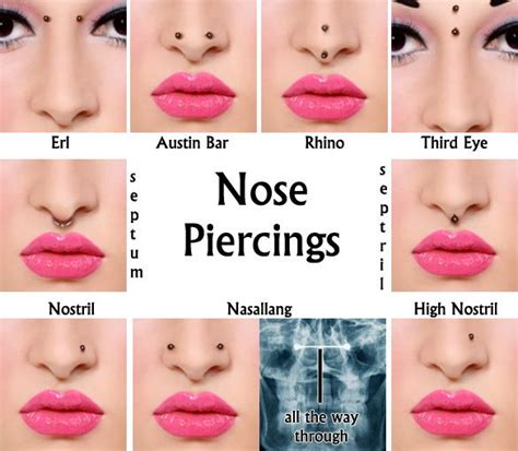 Types of Nose Piercings - Sacramento Nose Piercing | Different nose piercings, Face piercings ...