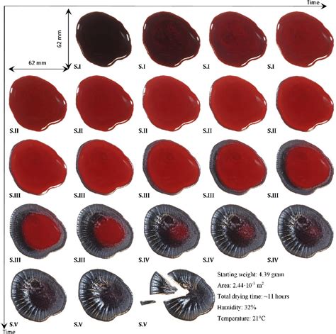 Figure 3 from Morphology of drying blood pools. | Semantic Scholar