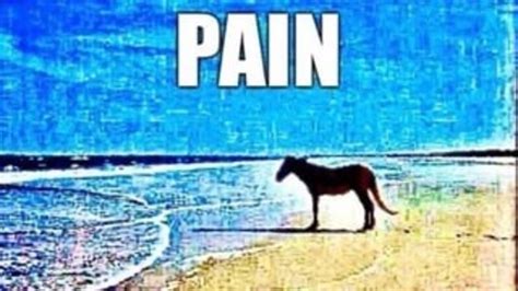 Pain / How Do You Manage Pain? | Know Your Meme