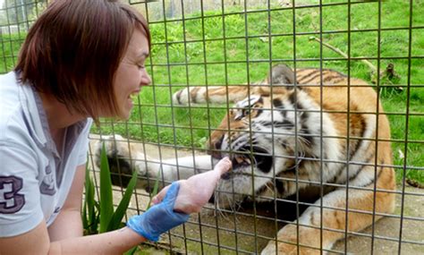 LINTON ZOOLOGICAL GARDENS in - Cambridge | Groupon