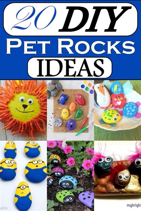 20 DIY Pet Rocks Ideas That The Kids Would Surely Love - Craftsy