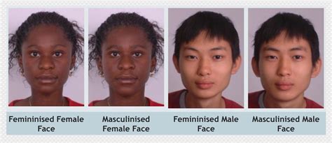 Feminine Face Vs Masculine Face