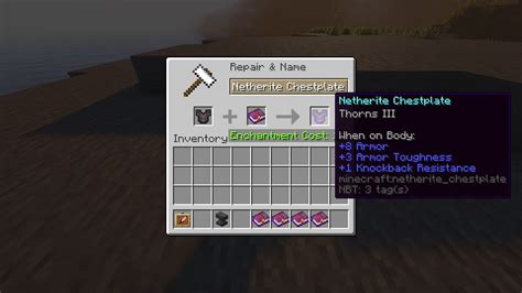 5 best enchantments for chestplate in Minecraft 1.19 update