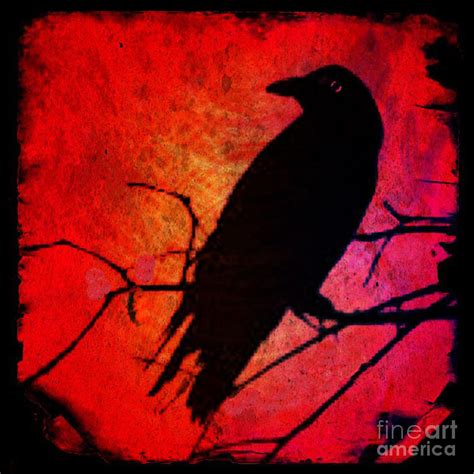 Red Raven Photograph by Michelle Mark