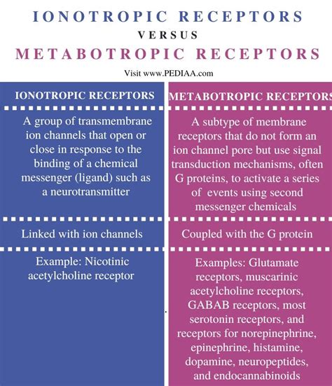 What is the Difference Between Ionotropic and Metabotropic Receptors ...