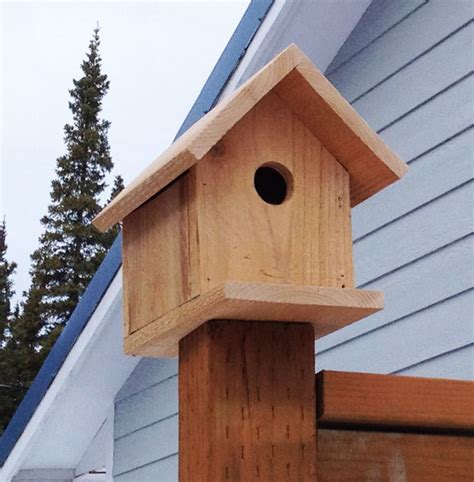 Build a Cedar Birdhouse for $2 | Ana White