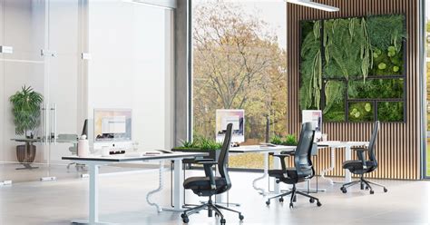 Biophilic Office Design: Bringing the Outdoors In