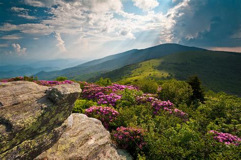 Roan Mountain From Appalachian Trail Near Jane's Bald Photograph by Dave Allen