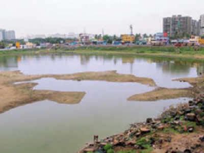 NGO & residents urge state govt to save dying Porur Lake | Chennai News - Times of India