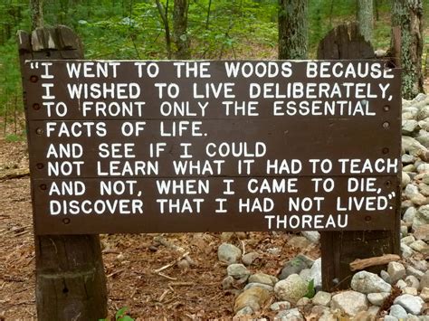 Walden Pond Thoreau Quotes. QuotesGram