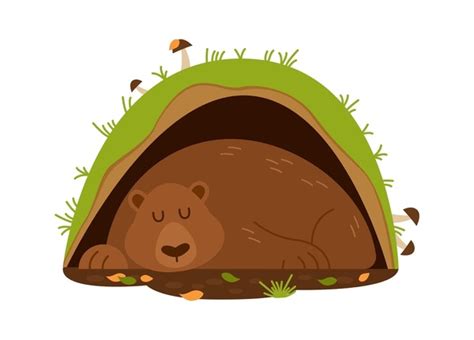 3,852 Bear Hibernating Royalty-Free Images, Stock Photos & Pictures ...