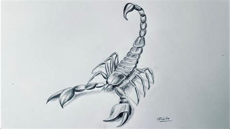 Realistic Scorpion Drawing