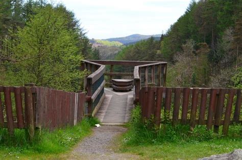 Galloway Forest Park - 2021 All You Need to Know BEFORE You Go (with Photos) - Tripadvisor