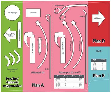 Clinical Practice Guidelines : Emergency airway management