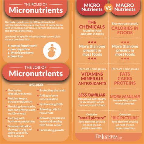 Macronutrients, Micronutrients, and MESONUTRIENTS? What this New Subcategory of Nutrients is All ...