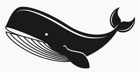 Whale - Whale Silhouette Svg, HD Png Download - kindpng