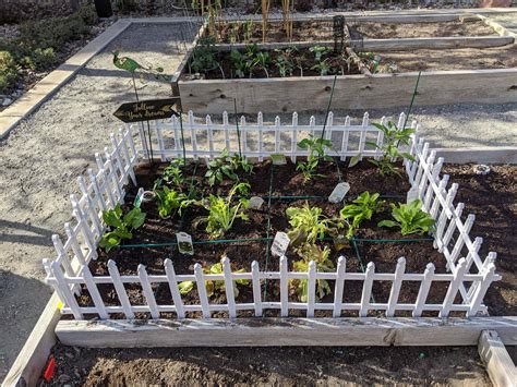 Planted my first square foot garden! : SquareFootGardening