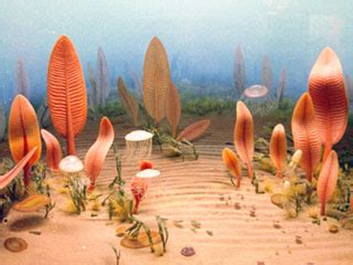 History of Earth - Ediacaran Period - (Proterozoic Eon)