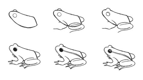 how to draw a frog easy small - Regena Kellogg