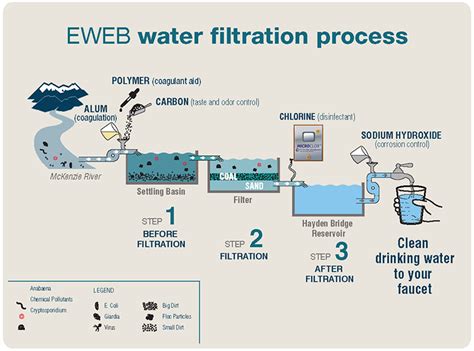 Water Filtration Process | EWEB