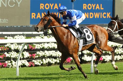 Randwick Guineas 2024 | Tips, Odds, Field & Results | Racenet