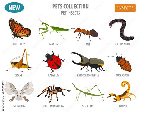 Pet insects breeds icon set flat style isolated on white. House keeping bugs, beetles, sticks ...