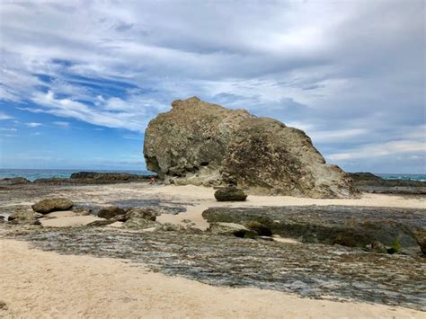 Beach Wednesday - Currumbin Beach and Elephant Rock — Steemit