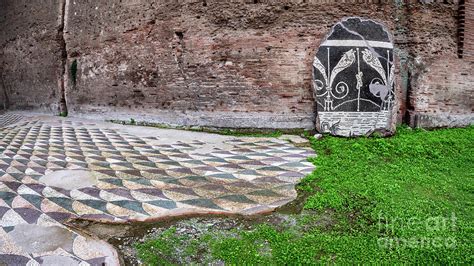 Baths of Caracalla mosaics from ancient Rome, Italy Photograph by Frank ...