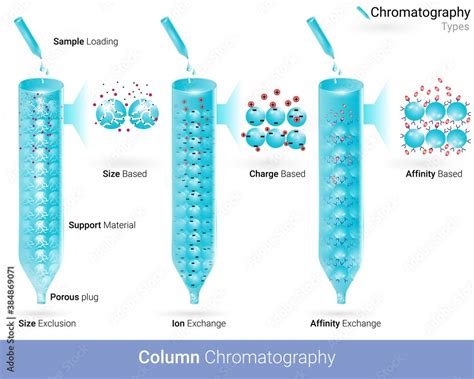 Vecteur Stock Types of column chromatography Affinity chromatography ion exchange and size ...