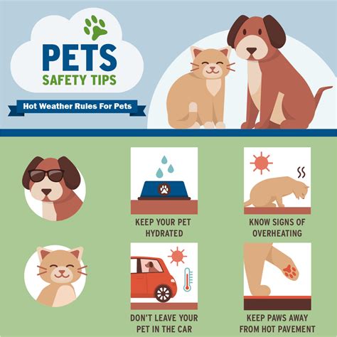 6 Ways to Keep Your Pets Cool This Summer | FEMA.gov