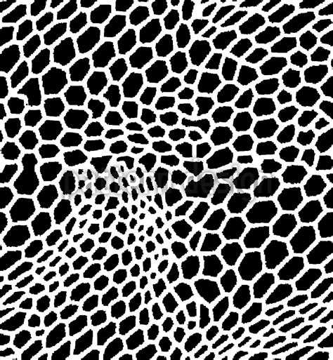 Snakeskin Seamless Vector Pattern Design