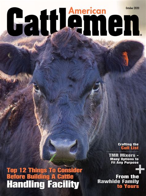 American Cattlemen October 2020 by Brandon Peterson - Flipsnack