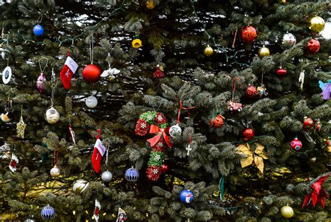 Christmas Remembrance Tree is healing hearts this holiday season | News ...